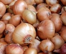 苦手な食べ物を克服する方法を一緒に考えます 私が夢で見た『生命の樹の法則』に当てはめて苦手を克服しよう！ イメージ1