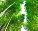 あなたに必要なメッセージをだします 辛い時こそ自分の潜在意識に耳を傾ける、そのお手伝いをします イメージ6