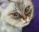 天国の猫ちゃんを描きます 思い出の写真数枚をもとに油絵風似顔絵を描き額縁付きでお届け イメージ3