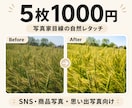 写真の色味・明るさを整えます SNS・商品写真を自然な雰囲気に補正します イメージ1