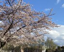 少しの時間でも、あなたの心の隙間に寄り添います お試しで1分でも♬気持ちの切り返しのお役に立てたら^_^ イメージ2