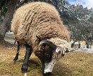 ラッパー向けにビートを提供します 誰とも被らないビートだけを作っているつもりです。 イメージ2
