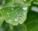 愚痴・不満・悩み事なんでも聞きます 些細なことでもOK!!話してスッキリ イメージ1