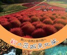 チラシやフライヤーを制作いたします 美術講師の経験を活かしデザインに落とし込みます イメージ1