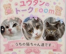 何でも聞きます 女性限定で何でもチャットでどーぞ♪ イメージ5