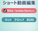 SNS向けショート動画編集を承ります まず1本から対応可能なショート動画編集 イメージ1
