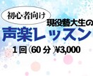 初心者向け！声楽＋ミュージカルレッスンします 基礎からしっかり丁寧なレッスンを心がけています！ イメージ1