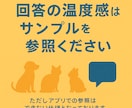 ペットの悩み相談「なんでも」お伺いします 動物病院でモヤモヤがあるあなたに”納得”をお届けします イメージ9
