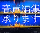 音声編集何でもします ノイズ除去・音声ファイルの不要な部分のカット・エフェクト加工 イメージ1