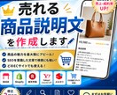 売れる商品説明文を作成します 商品の魅力が伝わる説明文を作成します イメージ1