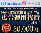 Facebook・インスタ広告の運用代行いたします 実績500社以上の広告代理店がMeta広告を支援します！ イメージ1