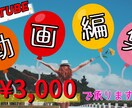 3000円でYouTube動画編集致します ジャンルは問いません！かわいい系が得意です♪ イメージ1