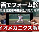 現役監督が、動画で打撃・投球フォームを診断します 伸び悩む球児・草野球選手へ何が原因か突き止め、伸ばします！ イメージ1