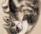 ふんわり可愛いペット似顔絵お描きします 大切な家族を“世界で1枚の宝物”に イメージ4