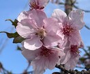 ほんの少しの時間でも、あなたのお話何でもききます 今日もおつかれさま♪いつも頑張っているあなたを応援します。 イメージ10