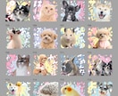Happy Color｜LINEスタンプ作ります お子さまのお写真やペットのお写真で。プレゼントにも！ イメージ7