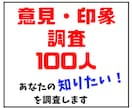 意見調査★破格で１００人の意見が聞けます ビジネスアイディアや商品に対する感想が知りたい方に最適！ イメージ1