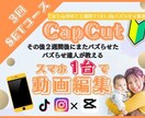 初心者の動画編集☆ショート動画の波に乗せます ショート動画バズり注意！一からスマホで動画編集レッスン イメージ1