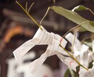 ツインレイと感じている【相手との関係性】を霊視ます 驚くほどの共通点や既視感|魂との片割れとの未来を知りたい人へ イメージ10