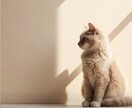 チャットで、なんでもお話ききます こんな話したい！聞いてくれ！をチャットで受け止めます イメージ6