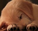 気持ちに寄り添ったメールカウンセリングを提供します 一人で抱え込まないで、気軽に話してみませんか イメージ1