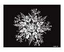 写真から似顔絵（人・ペット可）等イラスト描きます プレゼント、お祝い、各種記念、思い出、カード、インテリアに イメージ8