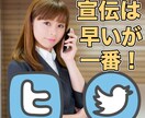 ツイッター独占宣伝です。強いアカウントを使って、あなたが宣伝したいサービスを３日独占宣伝します！ イメージ3
