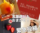 30日間インスタ運用代行いたします オーダーメイドでアカウントの雰囲気をしっかり作りましょう！ イメージ4