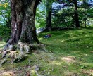 物語心理テスト＆カウンセリング、いたします 90分×２回「私ってこんな人なんだぁ」を現実の変化に繋ぐ時間 イメージ5