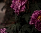 写真編集•加工します 家族の思い出の写真をより美しく！ イメージ6