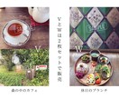 SNSに使える高品質な写真の素材提供します カメラ歴7年の私が撮影したお花や猫の イメージ9