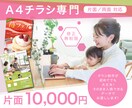 A4チラシをデザインいたします ＊A4チラシ専門になっております＊ イメージ1