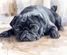 透明水彩で動物・ペットのイラストを手描きします 手描きの水彩画のイラストを、ご自宅やプレゼント用に！！！ イメージ8
