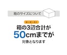 色違いやサイズ違いのパッケージデザインします ガジェット・家電・インテリア雑貨に対応／バリエーション4箱 イメージ4