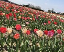 悩み事をしっかり聞きます 大切な自分を1番大事にして行きましょう イメージ3