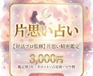 彼の本音と2人の恋路を徹底解明・幸福へ導きます 既読スルー・音信不通・煮え切らない彼の「真実」を代弁します イメージ1