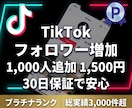 TikTokフォロワーを1,000人以上増やします 【先着20名限定】実績づくり超特価！30日間の減少保証付き！ イメージ1