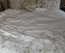 お部屋のコーディネートお手伝いします お部屋の家具選びやコーディネートでお悩みの方！ イメージ3