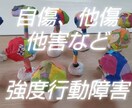 強度行動障害かも？と思える問題行動の詳細解説します 強度行動障害の国研修講師/行動観察から問題行動は改善していく イメージ1