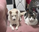 話聞きます happy Smile ☺︎笑顔大切 イメージ1