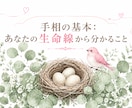 手相の基本：あなたの生命線を解説します あなたの生命線を見ながらわかりやすく解説します。 イメージ1