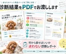 現役バイヤーがペット用品の商品ページを診断します 1商品・競合3点を比較｜改善の優先順位と着手3項目 イメージ4