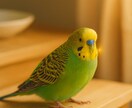 大切な家族を想う涙とありがとうに寄り添います かけがえのないペットを失った想いを話せる場所がここにあります イメージ6