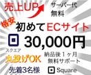 8月先着3名SquareでECサイト作成します 初めてのネット商品販売・在庫管理をご検討中の事業主様へお勧め イメージ1