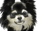 とても美麗！写真レベルのうちの子の似顔絵かきます ペット専門イラストレーターが丹精込めて描かせていだたきます！ イメージ2