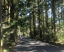 箱根の魅力を伝えます 箱根での見どころ。景色、温泉の種類　交通規制情報 イメージ4