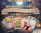 愛猫・愛犬の本音を聴きます もっと仲良くなれる。オラクルカードが奏でる「あの子」との対話 イメージ1