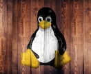 LPIC, LinuCの学習のお手伝いします 1コマ60分でLPIC,LinuCの学習のサーポート イメージ1
