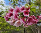 恋愛のお悩み専用！あなたの純粋な気持ち支えます あなたの悩み❤確り聴いて一緒に考え❤優しい未来を掴みましょう イメージ4