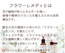 ペットの気持ちをタロットで視ます ※ 生きている子も虹の橋の子も対応。心のケアも丁寧にサポート イメージ6
